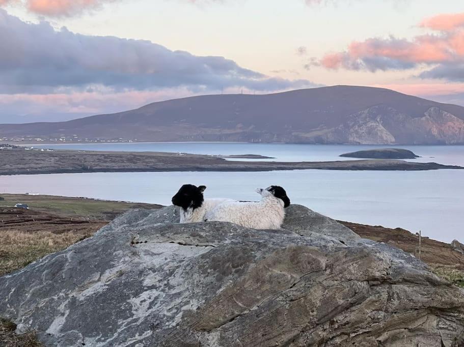 Spectacular Ocean Views In Tranquil And Private Location Holiday home *